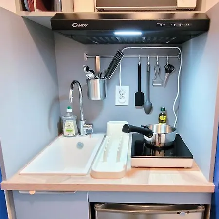 Cosy, Renove, Bien Situe, Parking Prive * Grenoble