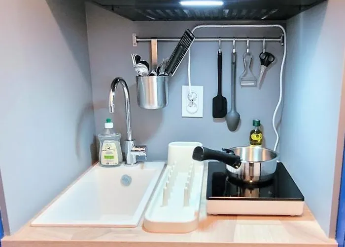 Cosy, Renove, Bien Situe, Parking Prive * Гренобль