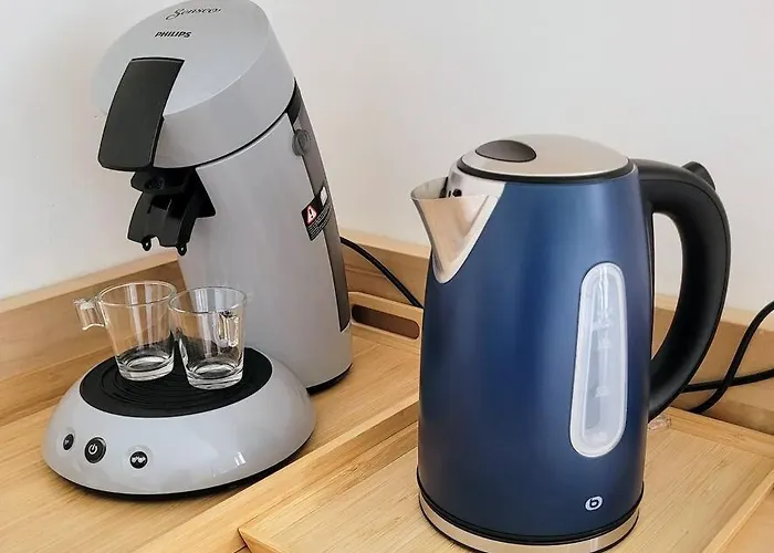 Cosy, Renove, Bien Situe, Parking Prive * Гренобль